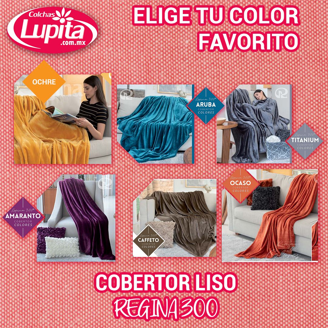 Imagen de Odoo y bloque de texto