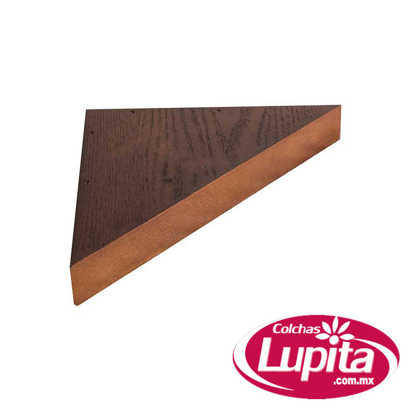 REPISA BERNAL (Vianney 24)